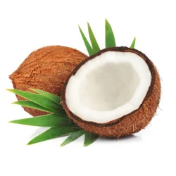 Fresh Coconut