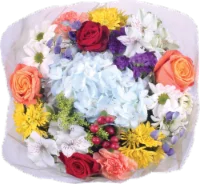 Bloom Haus Lush Bouquet - Green / Peach / Red