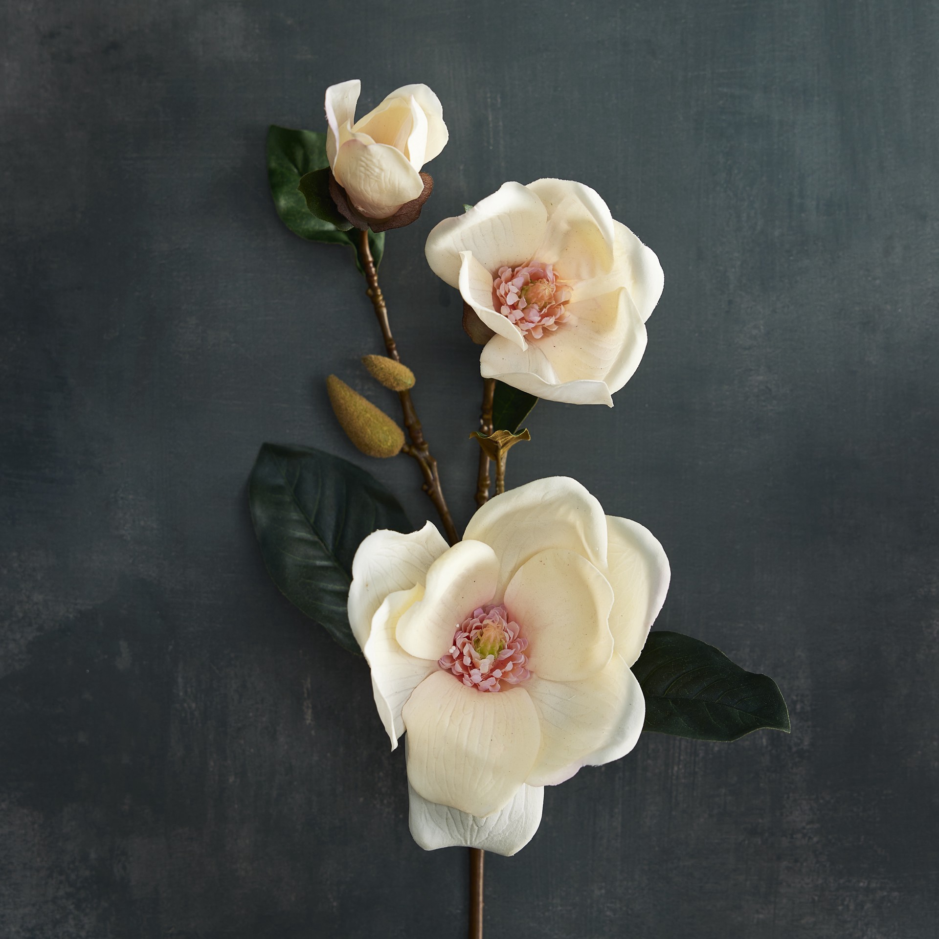 slide 2 of 2, Coral Magnolia Stem By Ashland, 30 in