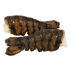Lobster Tail "Frozen"