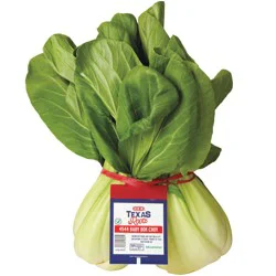H-E-B Texas Roots Fresh Shanghai Baby Bok Choy