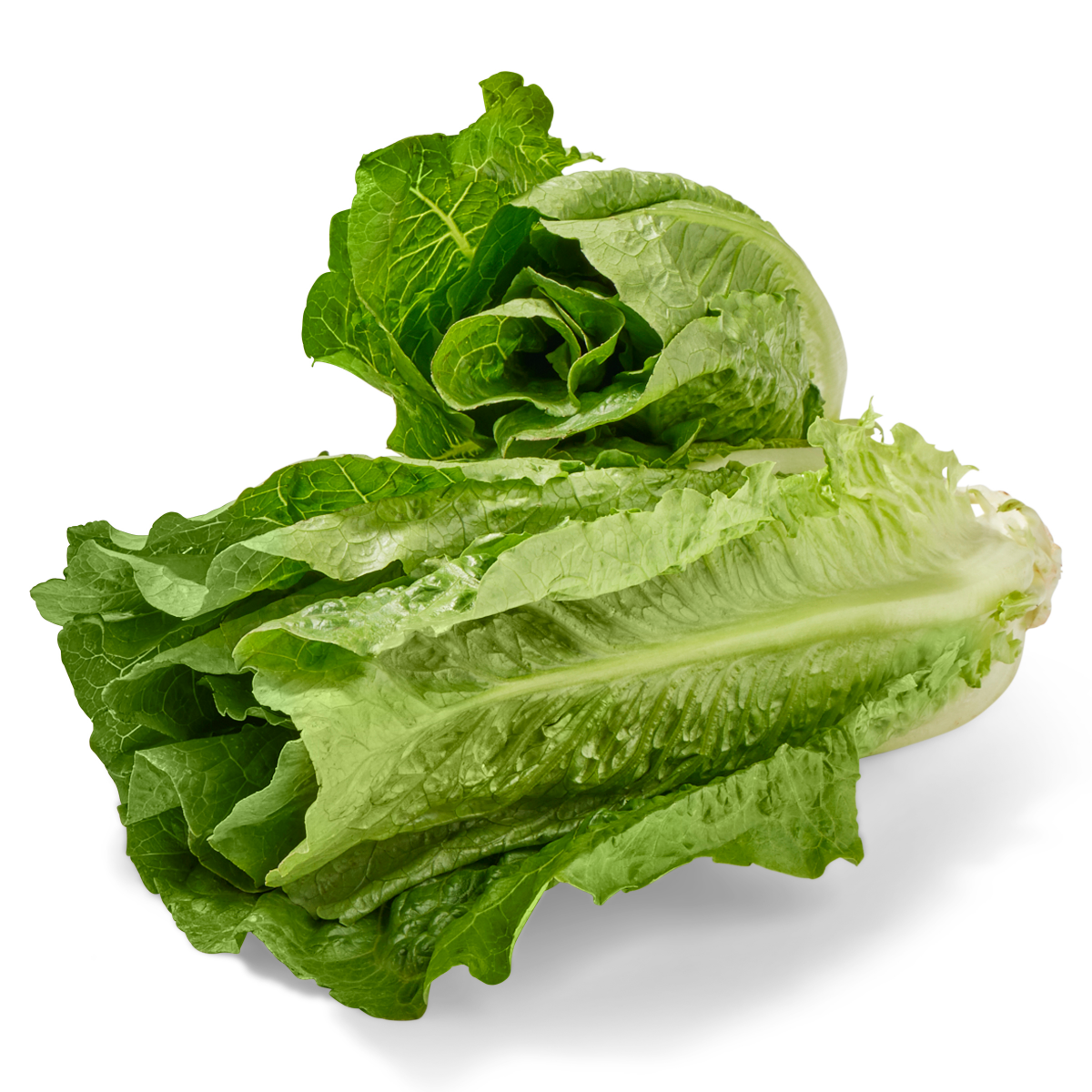slide 4 of 5, Organic Romaine Lettuce, 1 ct