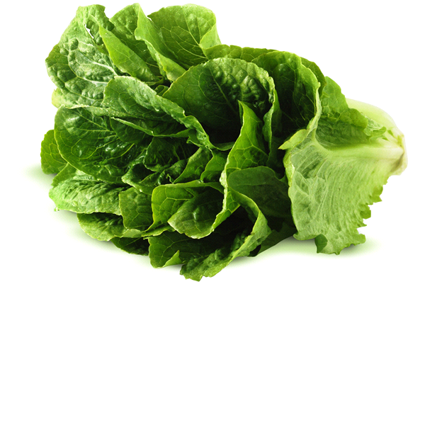 slide 1 of 1, Organic Romaine Lettuce, 1 ct