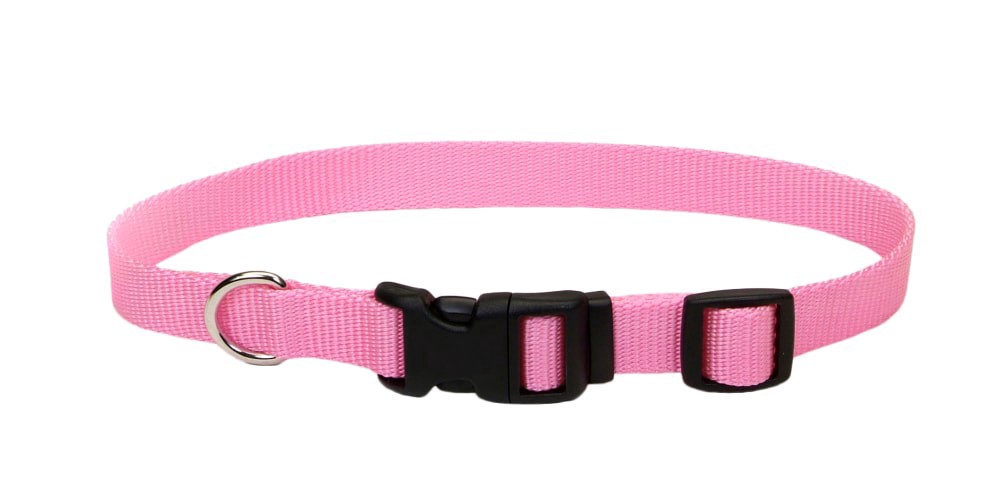 slide 2 of 2, Alliance Blue Dog Leash, 1 ct