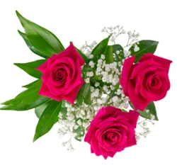 Dierbergs Flowers & Gifts Triple Rose Bouquet V-Day
