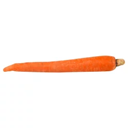 Jumbo Carrots Bulk
