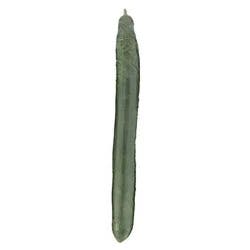 Fresh Organic Hothouse Cucumber