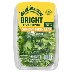 BrightFarms Crunchy Green Lettuce aka Sunny Crunch, 8 oz Family Pack Salad