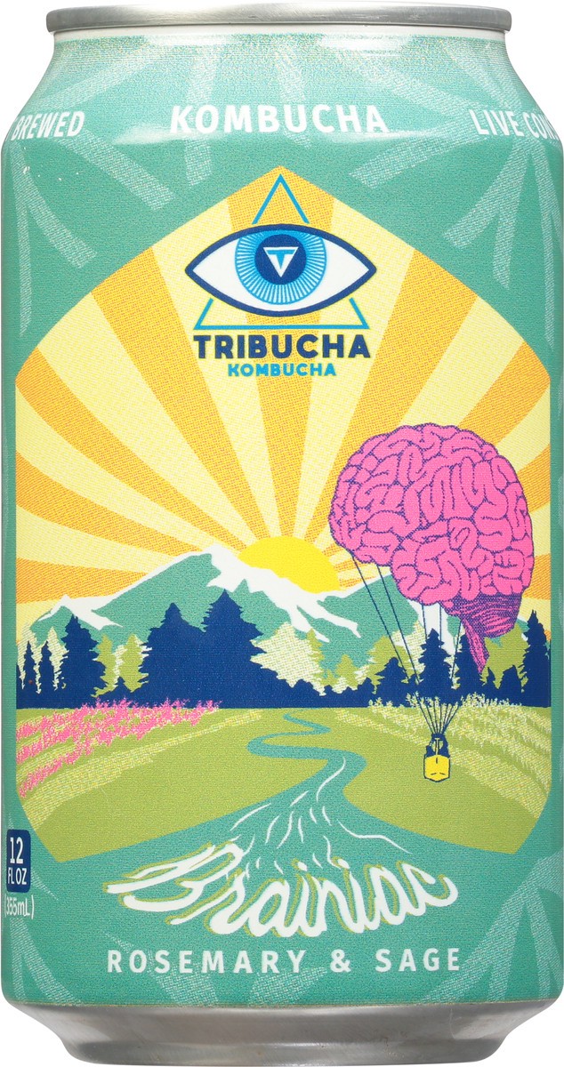 slide 10 of 13, Tribucha Brainiac Kombucha - 12 fl oz, 12 fl oz