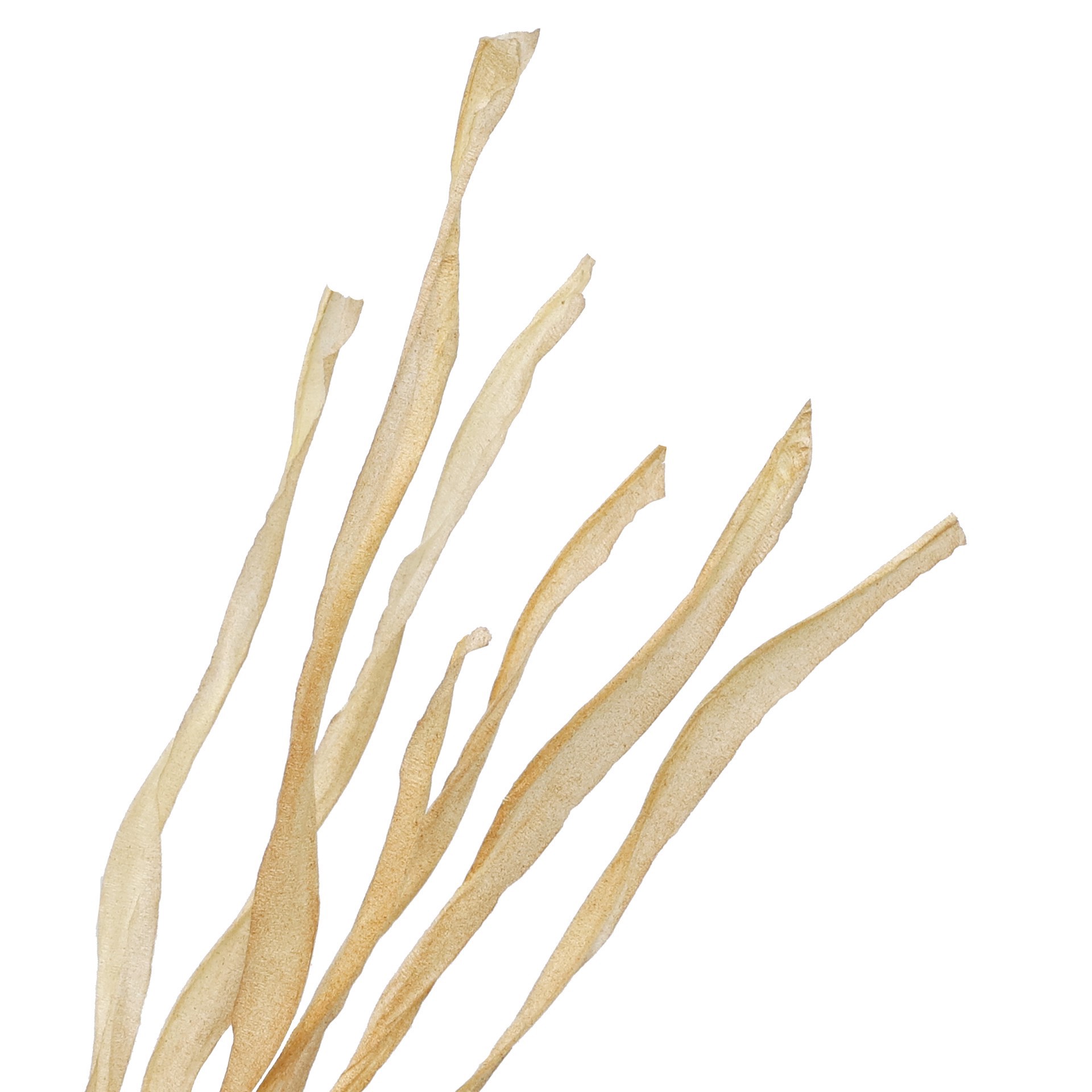 slide 3 of 3, 24.5" Grass Bush By Ashland, 24.5 in