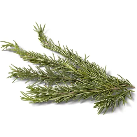 slide 1 of 1, Rosemary - 1 Bunch, 1 ct