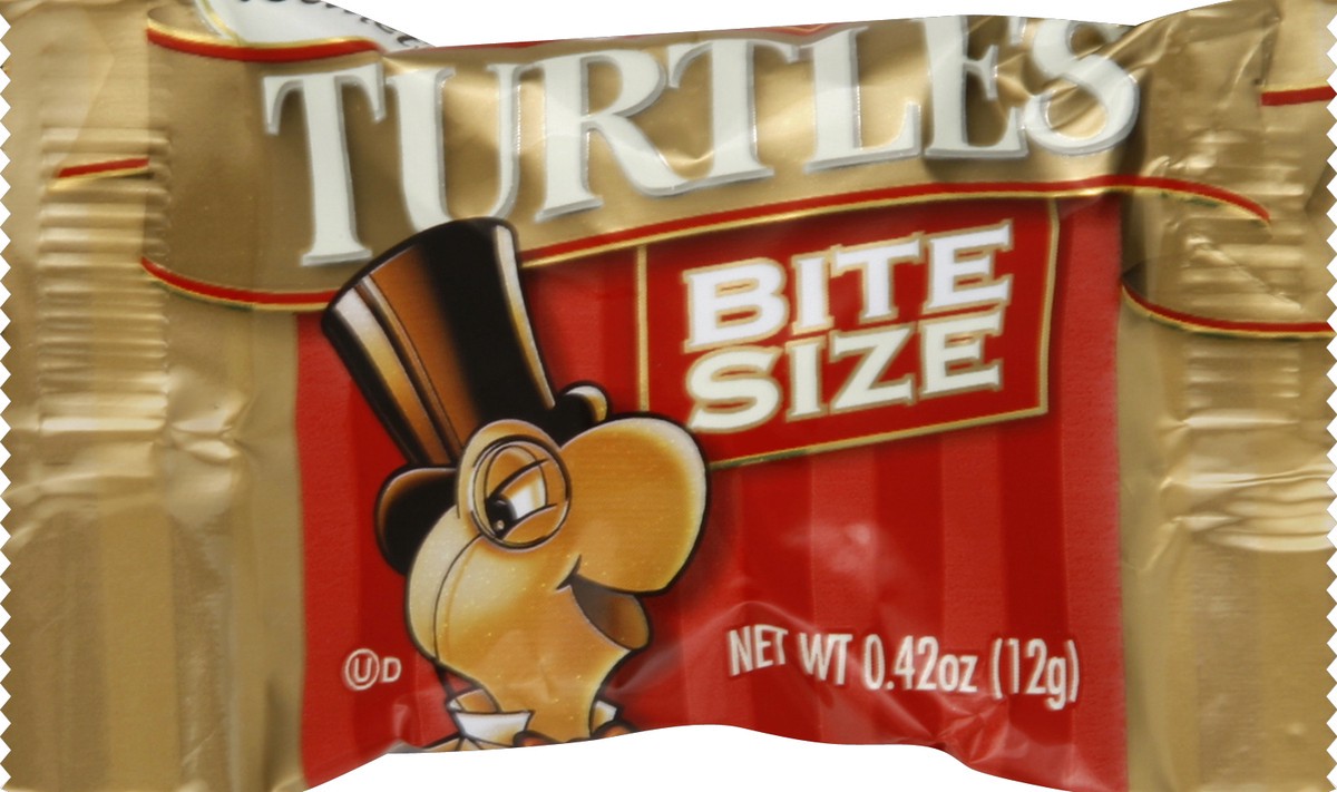 slide 4 of 5, Turtles Bites Changemaker, 0.42 oz