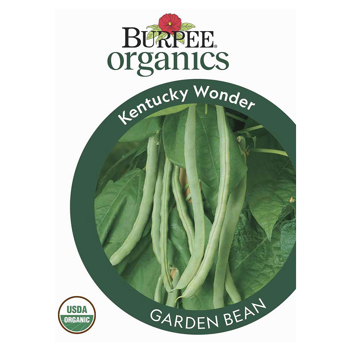 slide 1 of 5, Burpee Garden Bean Kentucky Wonder Seeds, 1 ct