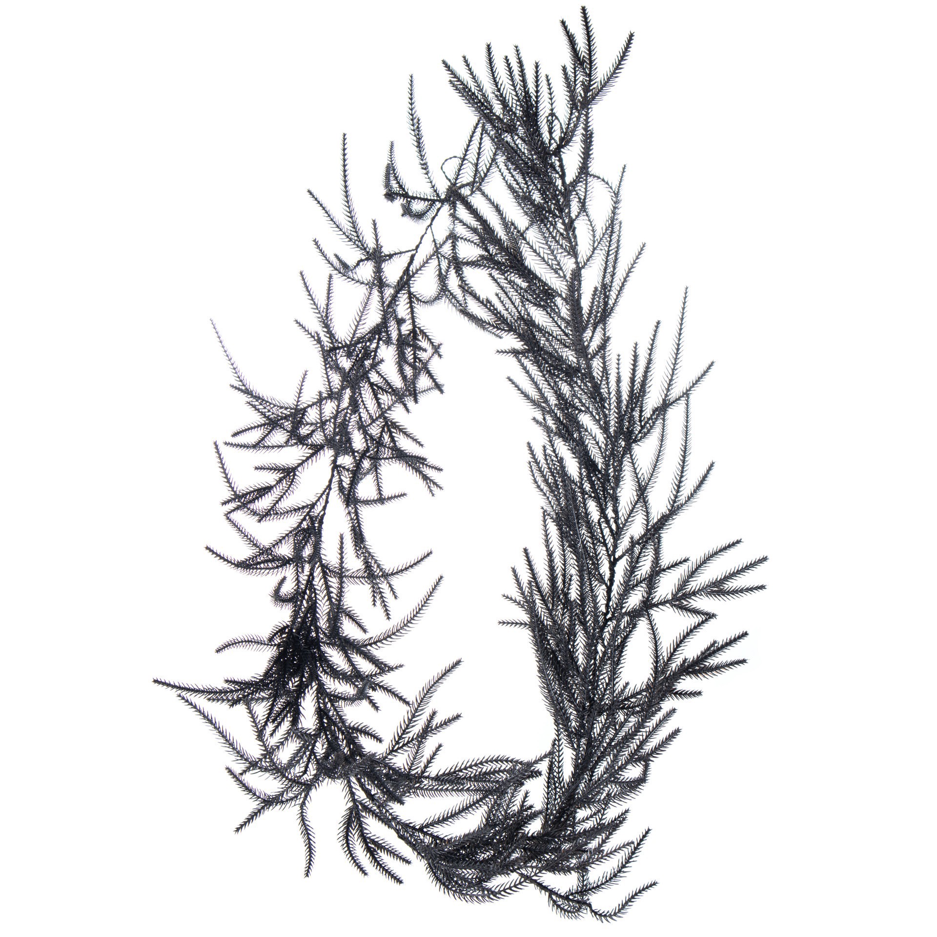 slide 4 of 4, 6ft. Norfolk Pine Garland By Ashland, 6 ft