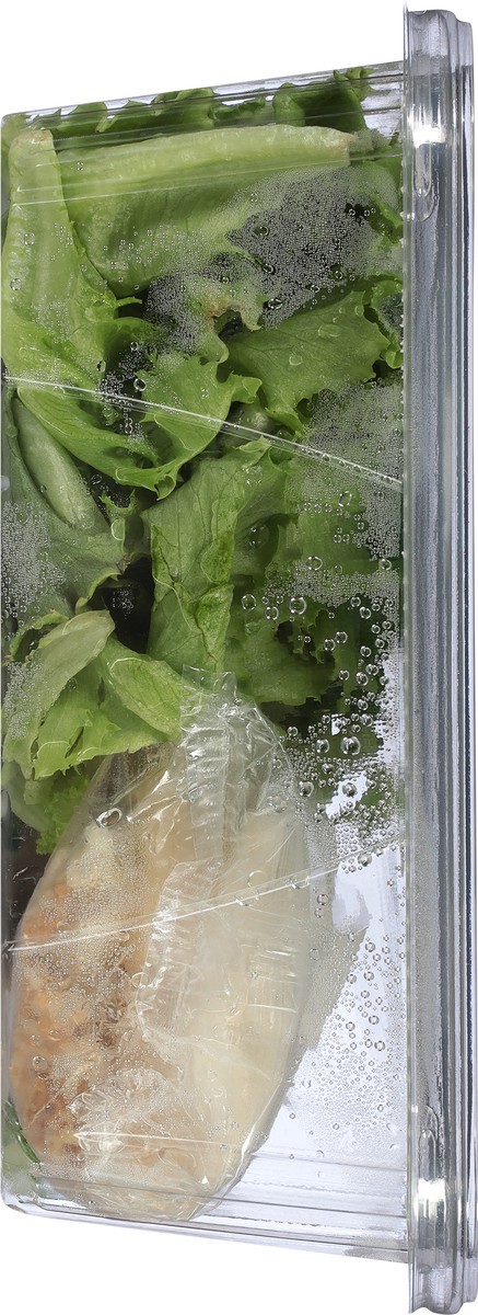 slide 13 of 14, Little Leaf Farms Crispy Ceasar Kit 7.4 oz, 7.4 oz