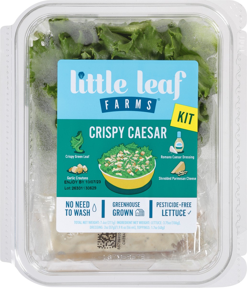 slide 8 of 14, Little Leaf Farms Crispy Ceasar Kit 7.4 oz, 7.4 oz
