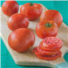 slide 4 of 5, Bonnie Plants 4.5'' Tomato - Red Pride, 19.3 oz