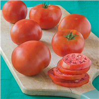 slide 3 of 5, Bonnie Plants 4.5'' Tomato - Red Pride, 19.3 oz