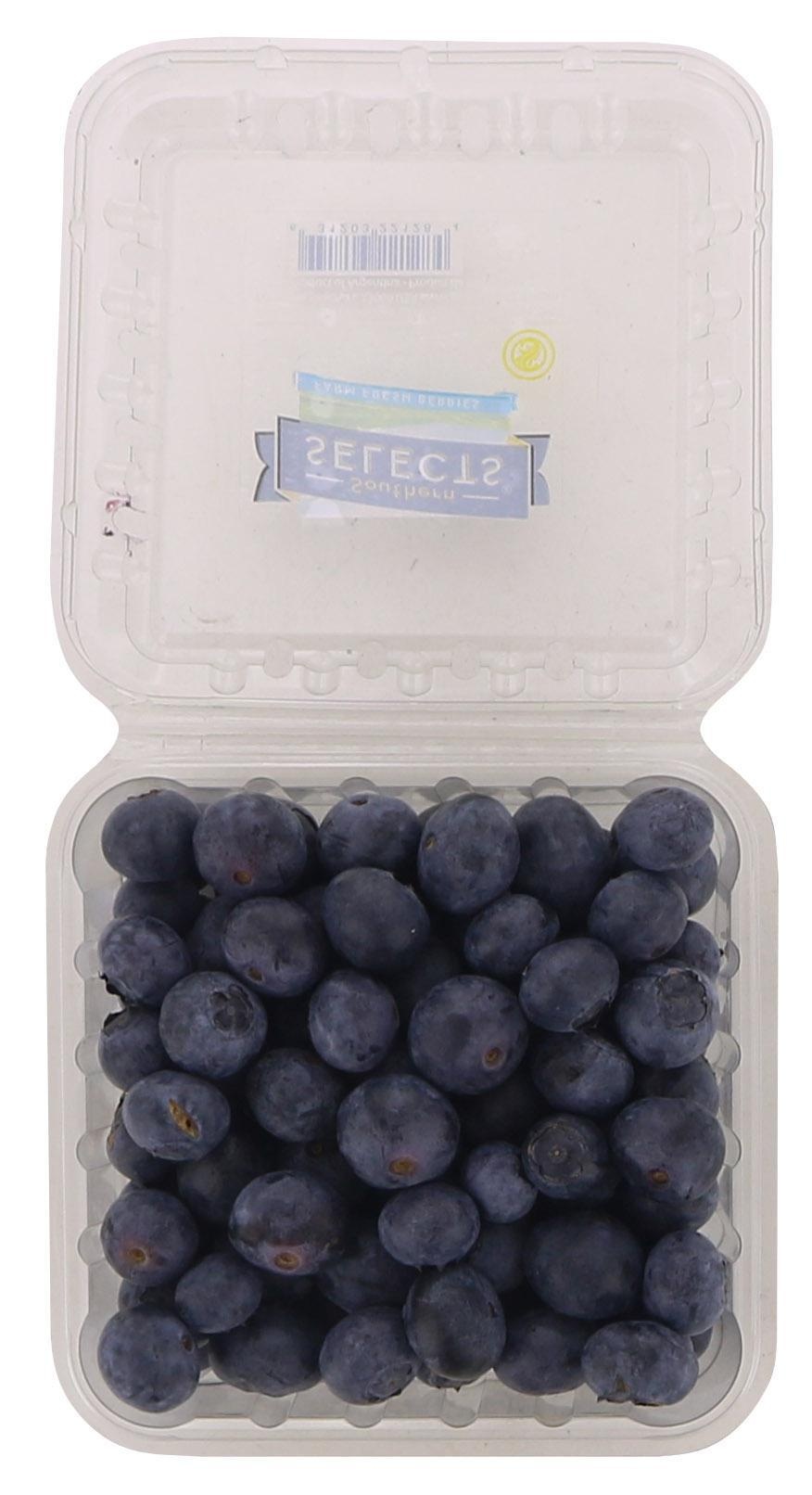 slide 1 of 1, Southern Selects Blueberries, 6 oz