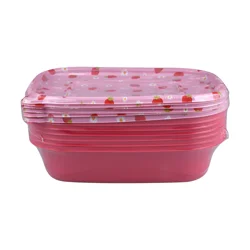 Meijer Corporate Seasonal Summer Meal Prep Container 6 pc Str Flwrs