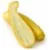 Organic Yellow Squash