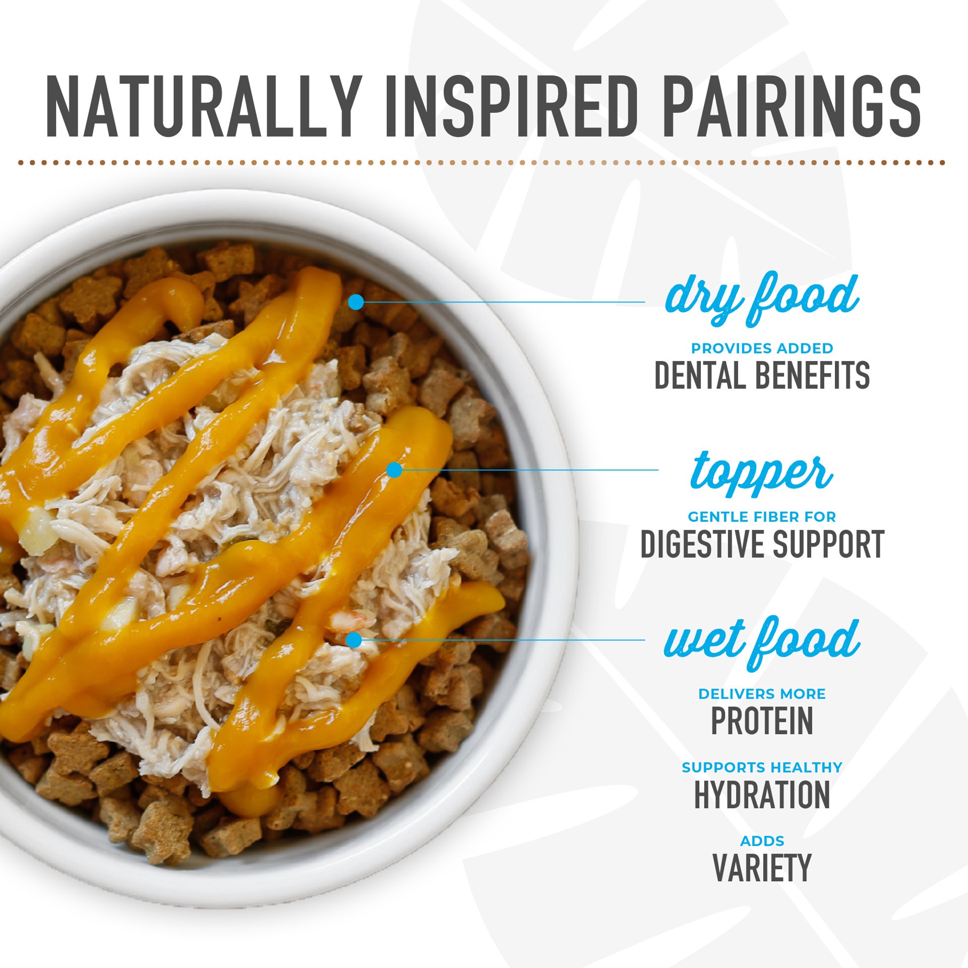 slide 2 of 8, Tiki Dog Born Carnivore Small & Medium Breed All Life Stage Dry Dog Food - Savory Lamb, 3.5 lb