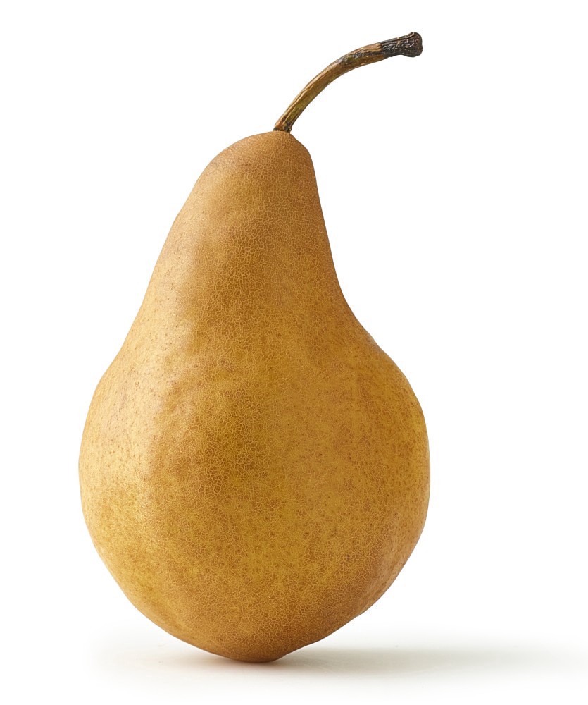slide 1 of 1, Bosc Pears, 1 ct