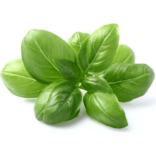 slide 1 of 1, Basil Bunch, 1 ct