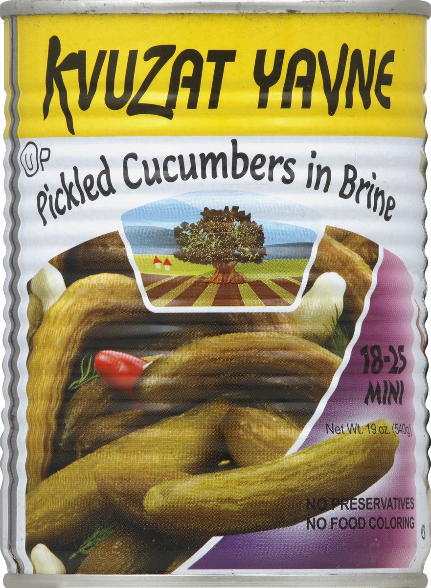 slide 1 of 2, Kvuzat Yavne Kvutzat Mini Cuke, 19 oz