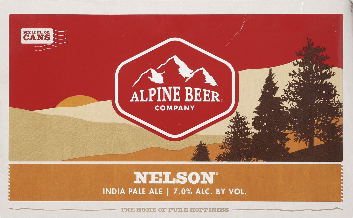 slide 4 of 10, Nelson Beer 6 ea, 6 ct; 12 oz