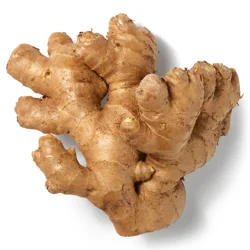 Ginger Root