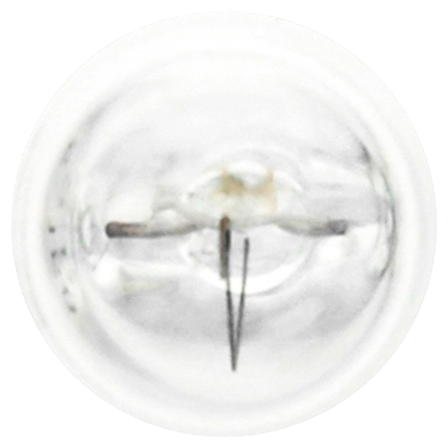 slide 4 of 4, Sylvania Long Life Mini, 194LL, 2 ct