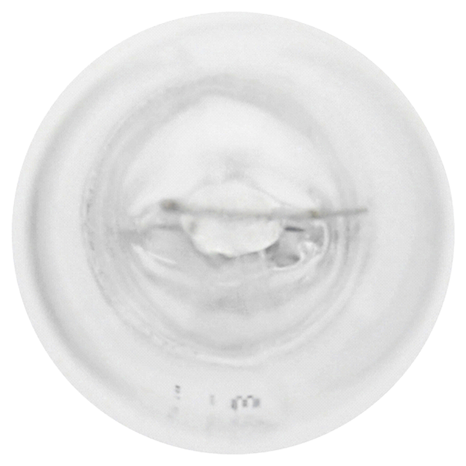 slide 4 of 4, SYLVANIA 921 LongLife Incandescent Auxiliary Lighting Bulbs, White, 2 Pack - Legal for On Road Use, OE Quality, 1 ct