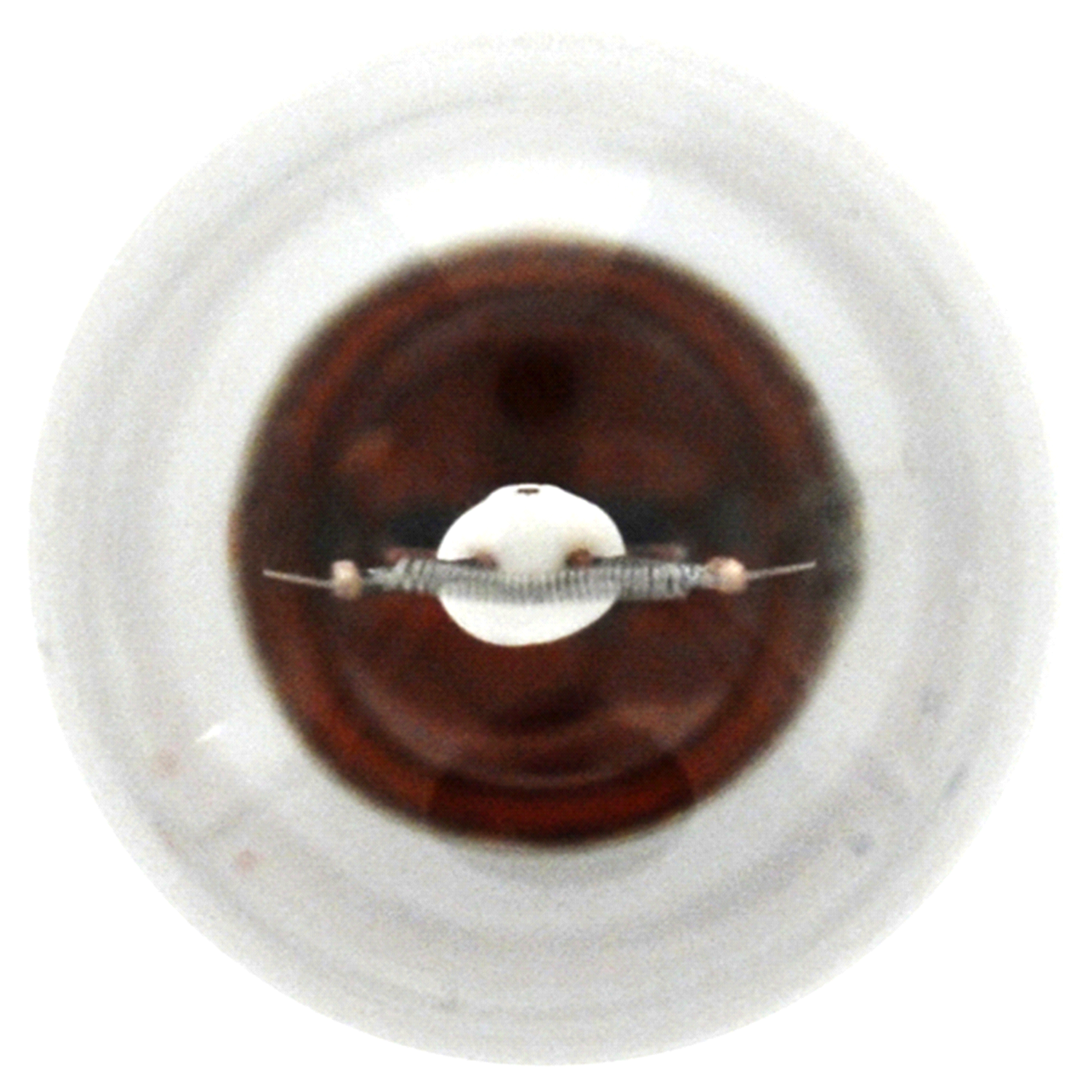 slide 4 of 4, Sylvania Long Life Mini, 7506LL, 2 ct