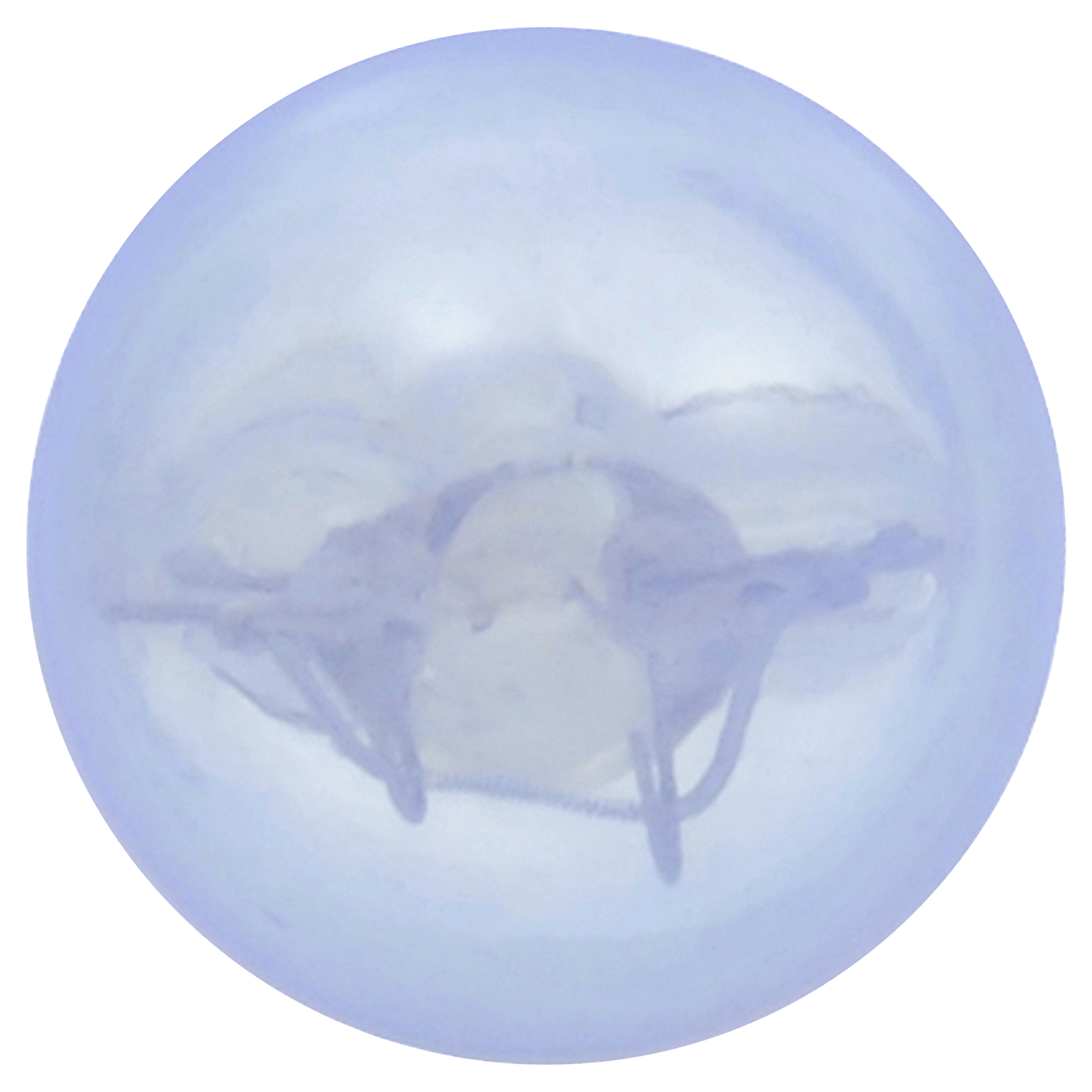 slide 4 of 4, Sylvania 194 SilverStar, 2 ct