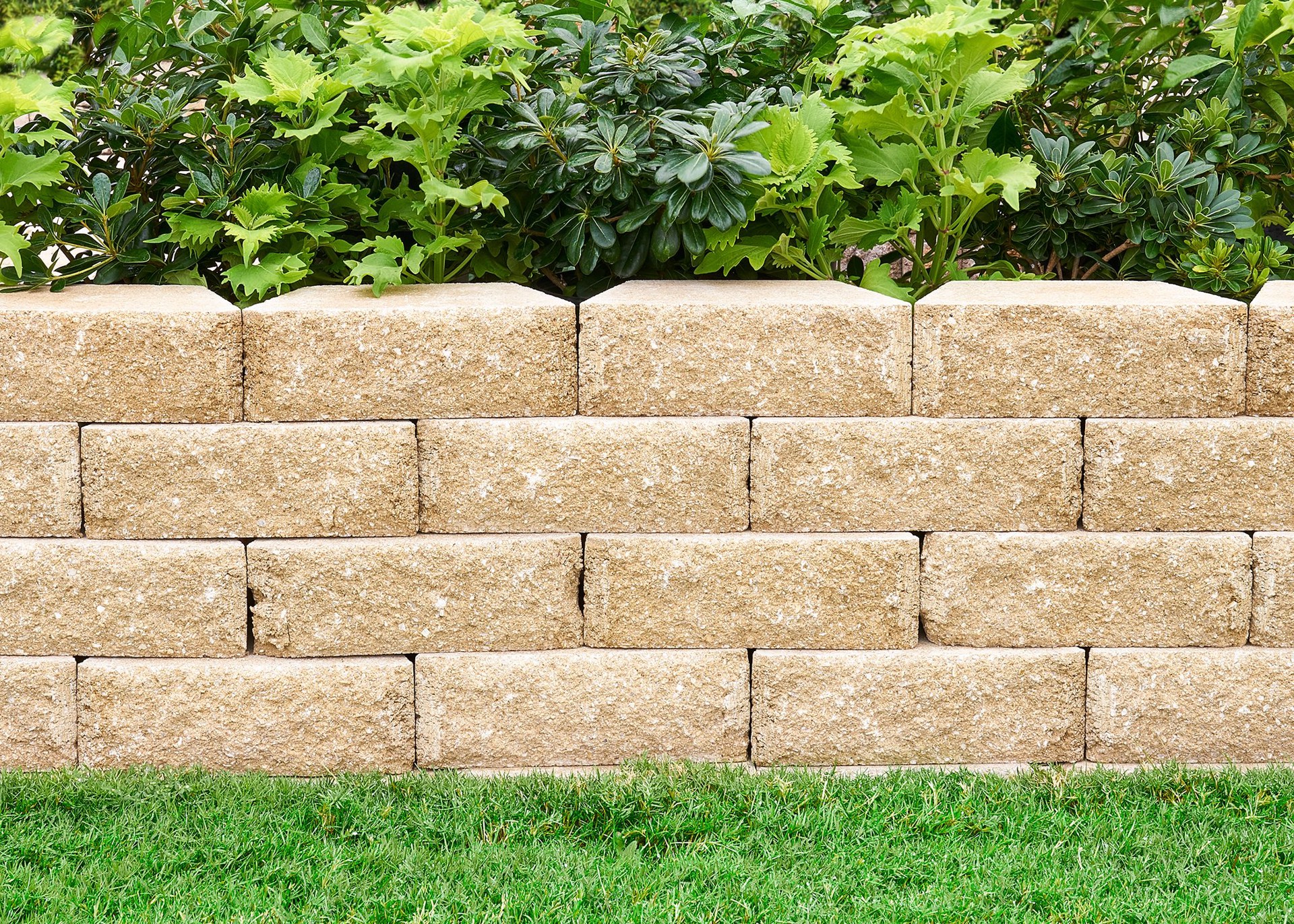 slide 3 of 4, 4-in H x 11.7-in L x 7-in D Walnut Concrete Retaining wall block, 1 ct