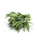 slide 1 of 1, Goodness Gardens Organic Tarragon, 1 ct