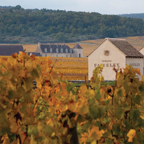 slide 7 of 10, Faiveley Mercurey Rouge, 750 ml