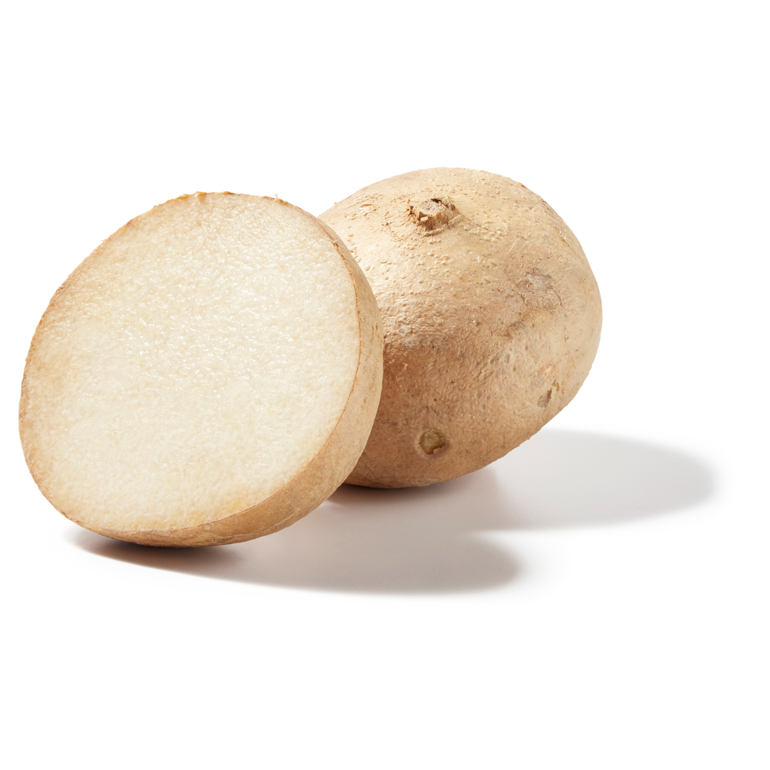 slide 1 of 1, Conventional Jicama, 1 ct
