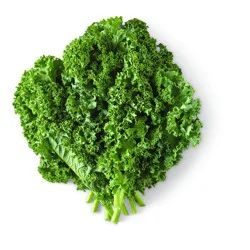 Fresh Kale Greens