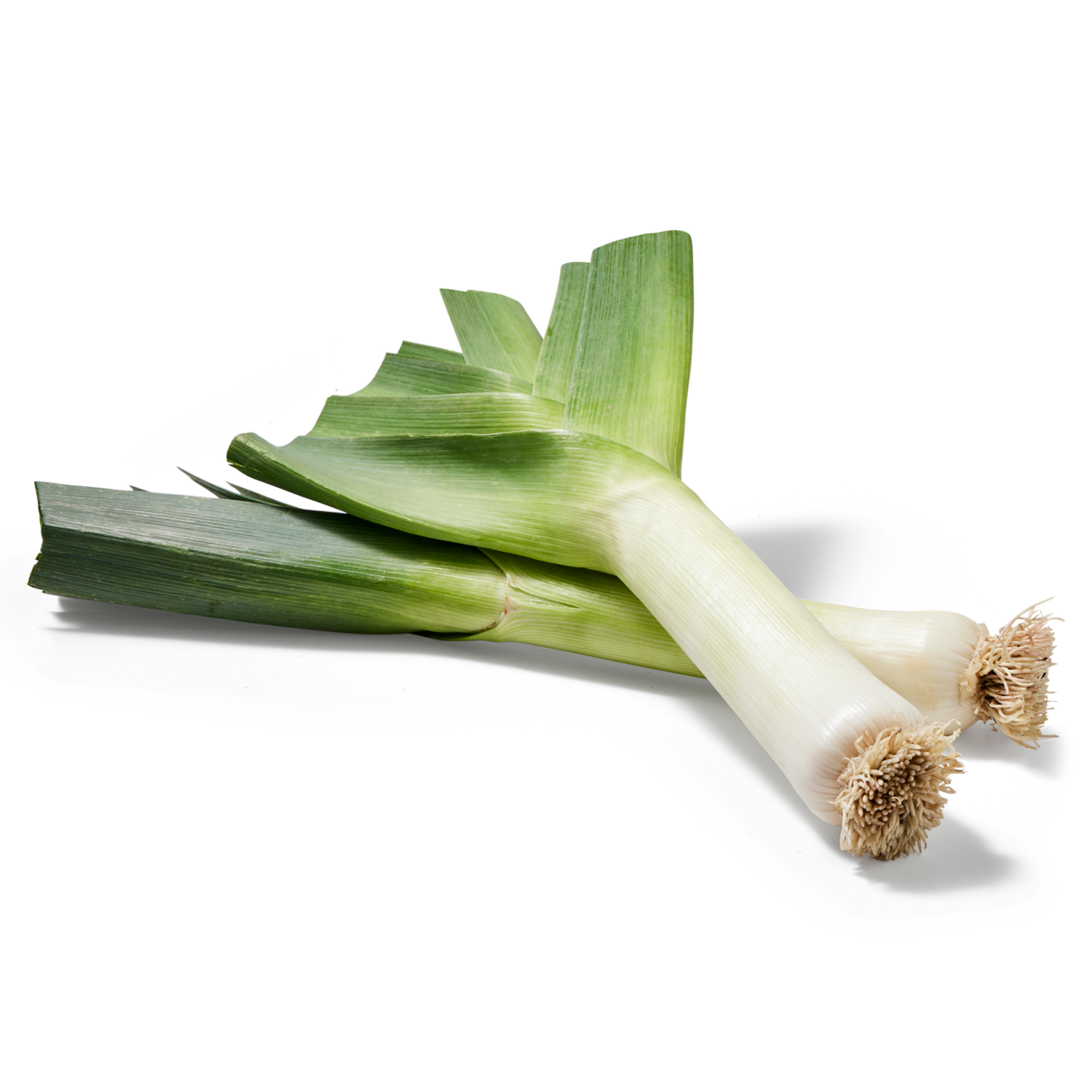 slide 2 of 2, Leeks, 1 bunch