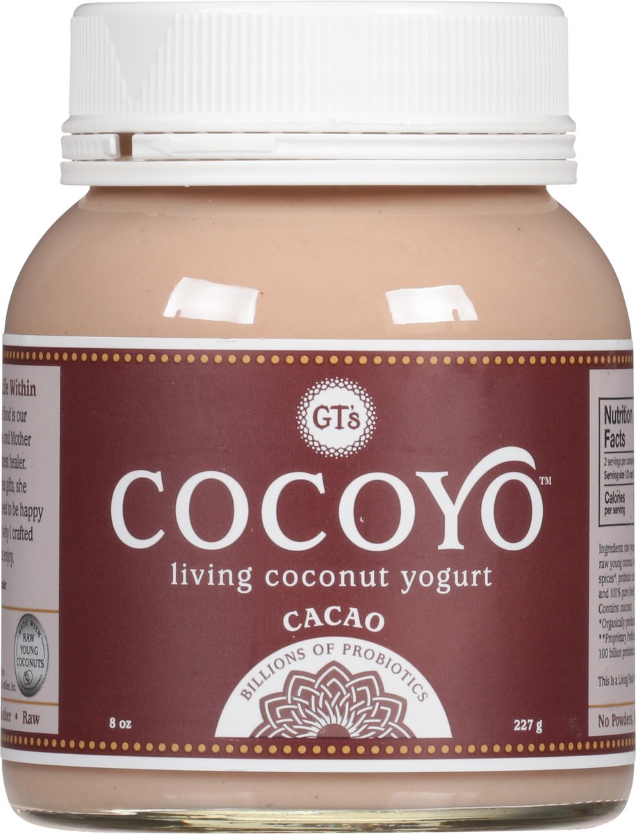 slide 3 of 13, GT's Cocoyo,Cacao 8 Oz, 1 ct