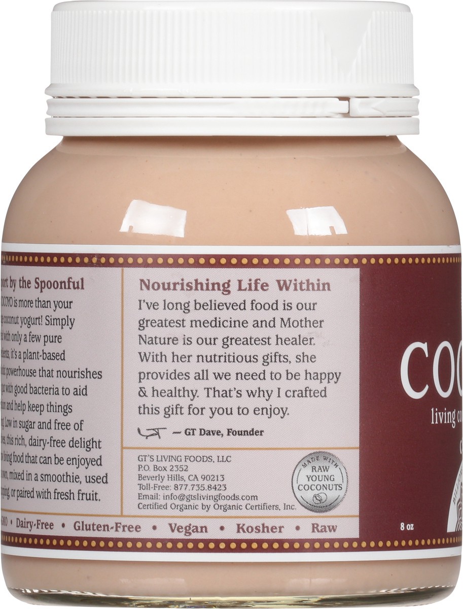 slide 5 of 13, GT's Cocoyo,Cacao 8 Oz, 1 ct