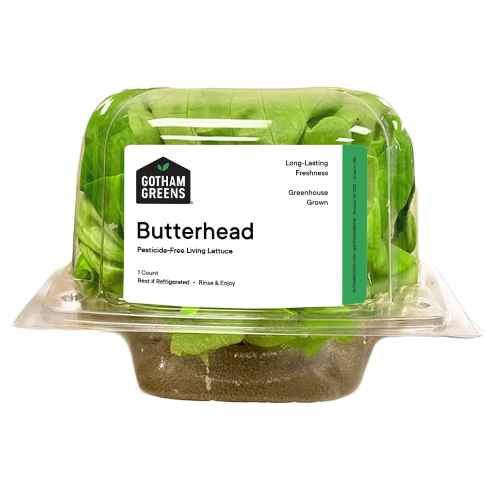 slide 2 of 3, Gotham Greens Butterhead Living Lettuce, 1 ct