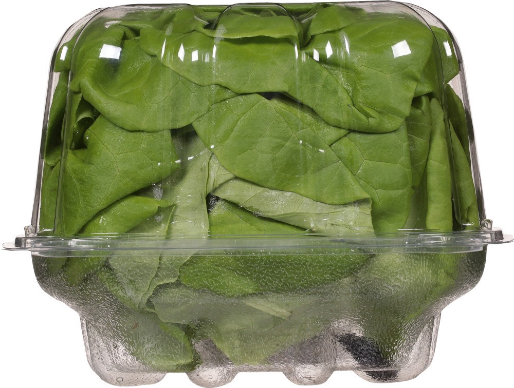 slide 3 of 3, Gotham Greens Butterhead Living Lettuce, 1 ct