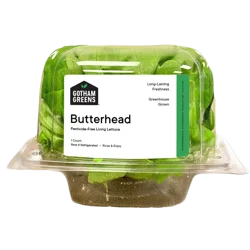 Gotham Greens Butterhead Living Lettuce