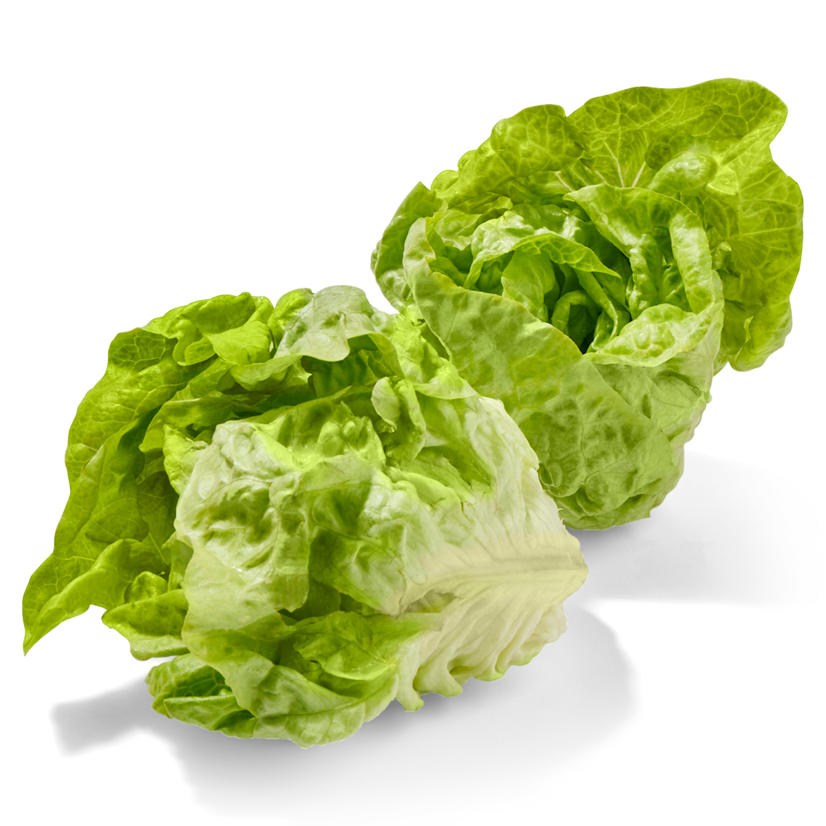 slide 2 of 2, Lettuce Boston, 1 ct