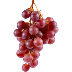 Red Globe Seeded Grapes