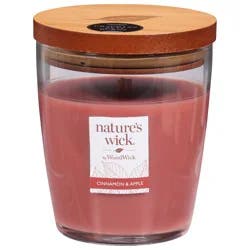 Nature's Wick Cinnamon & Apple Candle 10 oz