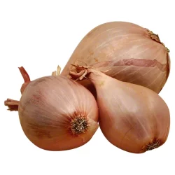 Main Plu Scale Shallots